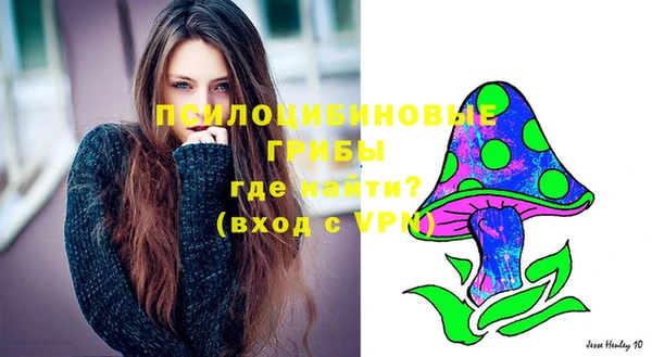 герыч Алзамай
